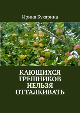 Ирина Бухарина Кающихся грешников нельзя отталкивать обложка книги