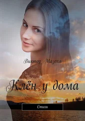 Виктор Мазоха - Клён у дома. Стихи