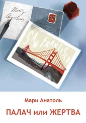 Мари Анатоль - ПАЛАЧ ИЛИ ЖЕРТВА. Серия «Издательский детектив». История вторая