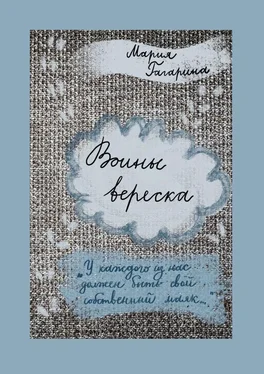Мария Гагарина Воины вереска обложка книги