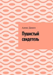 Алекс Динго - Пушистый свидетель