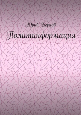 Юрий Берков Политинформация обложка книги