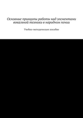 М. Дрожжин - Основные принципы работы над элементами вокальной техники в народном пении. Учебно-методическое пособие
