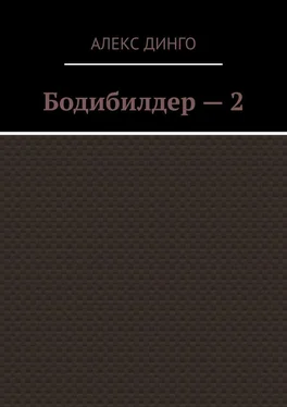 Алекс Динго Бодибилдер – 2 обложка книги