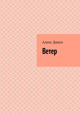 Алекс Динго Ветер обложка книги