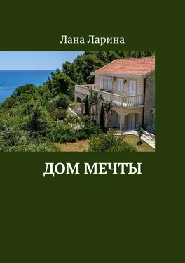 Лана Ларина Дом мечты обложка книги