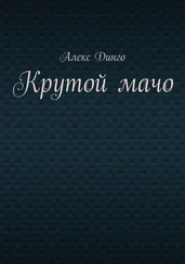 Алекс Динго - Крутой мачо