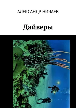 Александр Ничаев Дайверы обложка книги