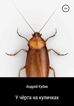 Андрей Кубик У чёрта на куличках обложка книги