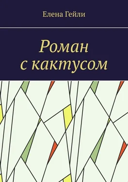 Елена Гейли Роман с кактусом обложка книги