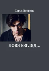 Дарья Волгина - Ловя взгляд…