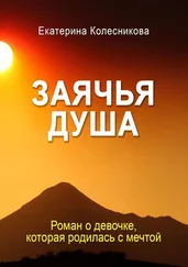 Екатерина Колесникова - Заячья душа