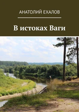 Анатолий Ехалов В истоках Ваги обложка книги