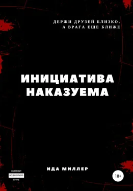 Ида Миллер Инициатива наказуема обложка книги