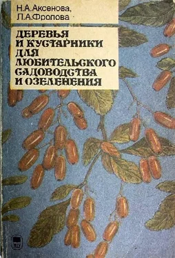 Нина Аксёнова Деревья и кустарники для любительского садоводства и озеленения обложка книги