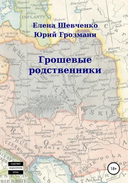 Елена Шевченко ГрошЕвые родственники обложка книги