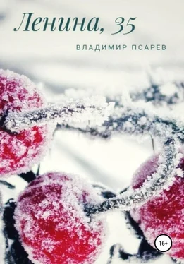 Владимир Псарев Ленина, 35 обложка книги