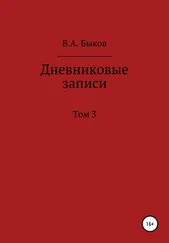 Владимир Быков - Дневниковые записи. Том 3