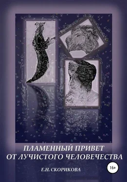 Елена Скорикова Пламенный привет от лучистого человечества обложка книги
