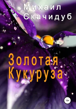 Михаил Скачидуб Золотая Кукуруза обложка книги