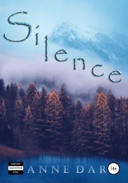 Anne Dar Silence обложка книги