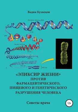 Вадим Кузнецов «Эликсир жизни» против фармацевтического, пищевого и генетического разрушения человека. Советы врача обложка книги