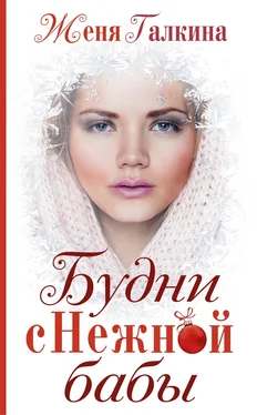 Евгения Галкина Будни Снежной бабы обложка книги