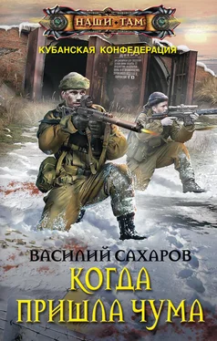 Василий Сахаров Когда пришла чума [litres] обложка книги