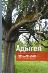 Анатолий Цирульников - Неопознанная педагогика. Адыгея. Черкесские сады, или Плач под лезгинку