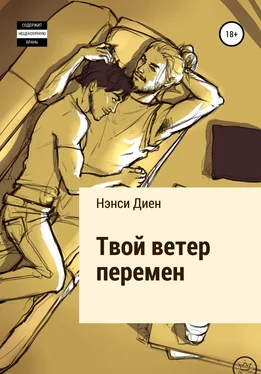 Нэнси Диен Твой ветер перемен обложка книги