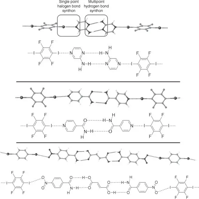 Figure 19Examples of simultaneous halogen and hydrogen bonding in the - фото 12