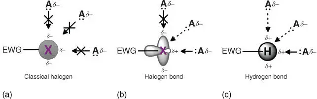 Figure 11Schematic of interactions between a halogen atom and a Lewis base - фото 3