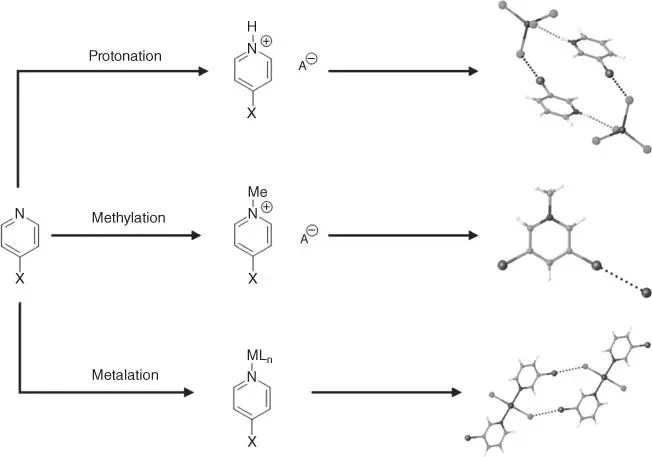 Figure 110Methods to enhance the potency of a halogen bond donor The ChemDraw - фото 13