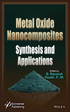 Неизвестный Автор Metal Oxide Nanocomposites обложка книги