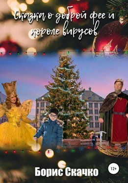 Борис Скачко Сказка о доброй фее и короле вирусов обложка книги