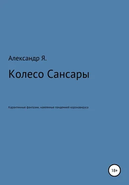 Александр Я. Колесо Сансары обложка книги