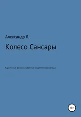 Александр Я. - Колесо Сансары