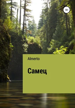 Almerto Самец обложка книги