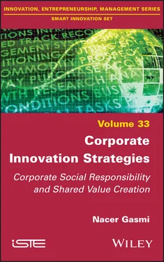 Nacer Gasmi Corporate Innovation Strategies обложка книги