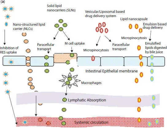 Figure 22a Mechanism of transport of nanocarriers across various biological - фото 6