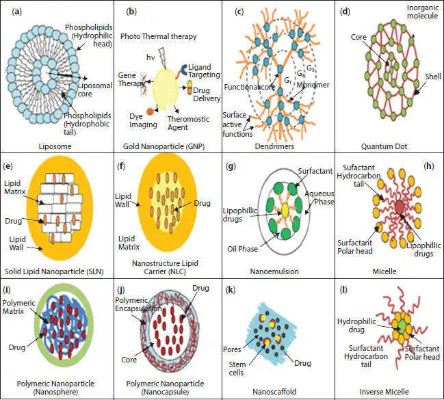 Figure 21 Diagrammatic representation of various nanoparticulate carriers a - фото 5
