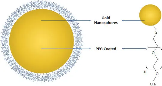 Figure 39 PEG coated gold nanospheres 3372 Iron Oxide Nanoparticles - фото 18
