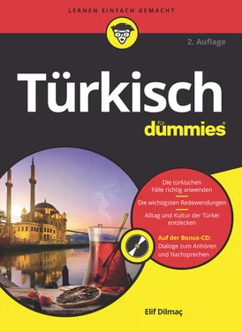 Elif Dilmaç Türkisch für Dummies обложка книги