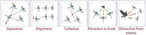 Figure 34 Primitive corrective patterns between dragonfly Table 31 - фото 23