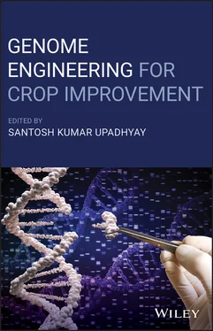 Неизвестный Автор Genome Engineering for Crop Improvement обложка книги