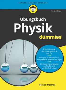 Steven Holzner Übungsbuch Physik für Dummies обложка книги