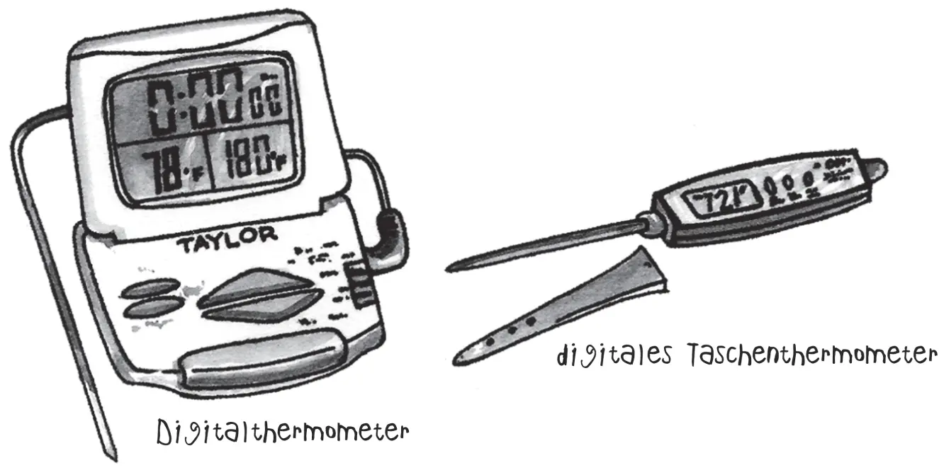 Abbildung 24 Digitalthermometer oder digitale Taschenthermometer sind sehr - фото 29