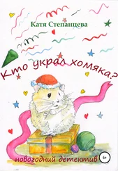 Катя Степанцева - Кто украл хомяка? Новогодний детектив