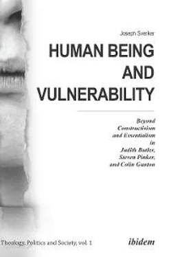 Joseph Sverker Human Being and Vulnerability обложка книги