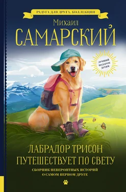 Михаил Самарский Лабрадор Трисон путешествует по свету (сборник) обложка книги